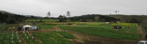 IMG_0317(1)